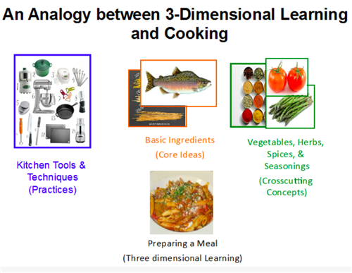 The Three Dimensions of the NGSS 